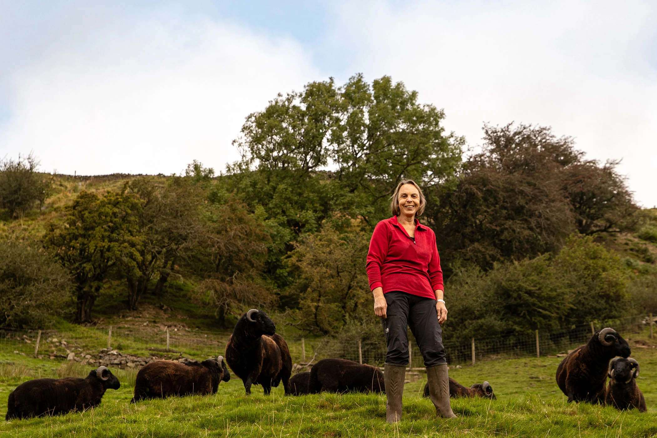 Hogget Meat Box – Black Welsh Mountain from Linda & Bill Price - Image 6